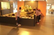 DSC02091