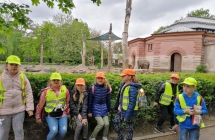 IMG_20190513_114044