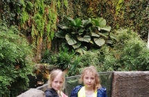 IMG_20190513_103604