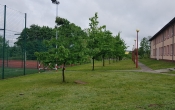 20190529_083349