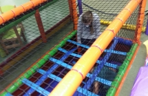 20191205_110312