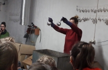 IMG-20191212-WA0010