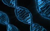 dna-163466_1280