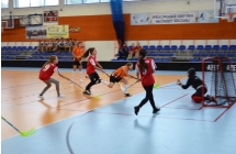 Unihokej 1