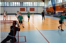Unihokej 2 (2)