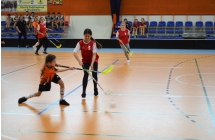 Unihokej 3