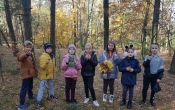 Zbiory lesne dzieci