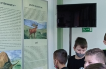 wizyta w muzeum