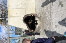 uczniowie w Zoo