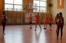 Pilka reczna  (3)