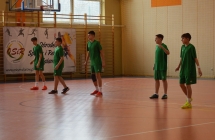 Pilka reczna  (4)