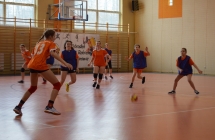 Pilka reczna  (6)