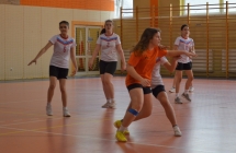 Pilka reczna  (9)
