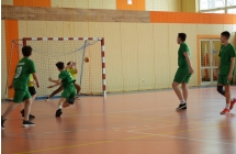 Pilka reczna  (8)