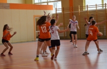 Pilka reczna  (10)