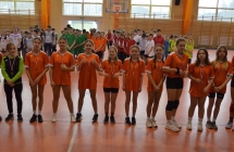 Pilka reczna  (13)