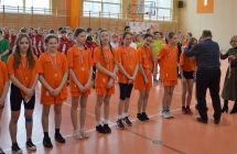 Pilka reczna  (17)
