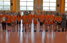 Pilka reczna  (18)
