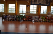 Pilka reczna  (24)