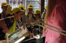III B Biskupin Warsztaty dendrologiczne