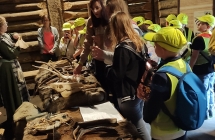 III B Biskupin Narzedzia z kosci zwierzat