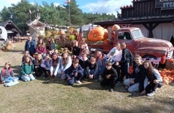dynia gigant