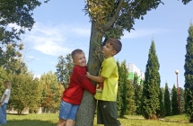 Straznicy lasow (7)