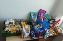 Produkty przekazane do schroniska