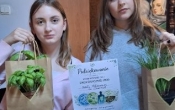Powiatowa sesja ekologiczna (6)