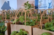 Powiatowa sesja ekologiczna (5)