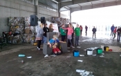 orli staw11