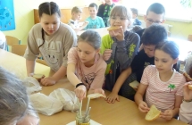 Warsztaty pszczelarskie (11)