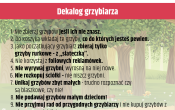 dekalog grzybiarza