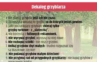 dekalog grzybiarza