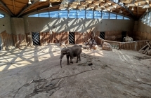 Wycieczka pierwszakow do Poznania- zoo