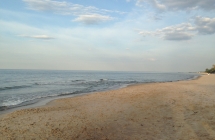 1.20image