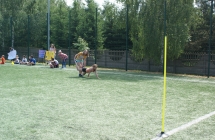 DSC00329