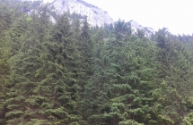 20160614_170625