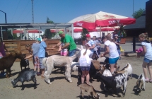 IMG_20160623_140548_548