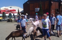 IMG_20160623_130112_078