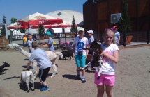 IMG_20160623_130150_153