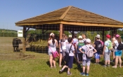 IMG_20160623_103350_527