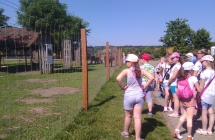 IMG_20160623_102503_166