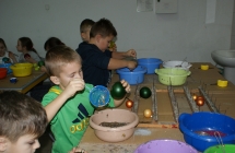 DSC01566