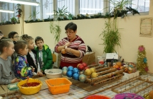 DSC01570
