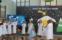 jaselka (35)