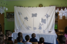 Teatr Cieni (3)