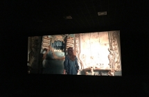 image5 (2)