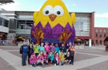 IMG_20170405_133134