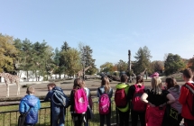 IMG_20171017_114325